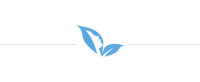 A blue colored favicon with the logo of the company